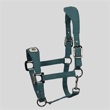 Kantar Cavallo CavalPawewel