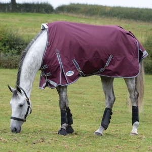 Weatherbeeta przejściowe Derki dla konia 100 gram Comfitec Plus Dynamic II standard neck medium/lite