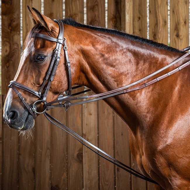 Dyon wodze ślizgowe Hunter Working by Dy\'on