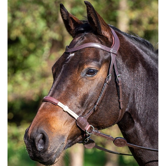 Dyon kawecan bezwędzidłowy WORKING BY DY\'ON