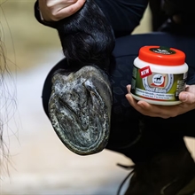 Leovet Balsam do kopyt Prebiotic