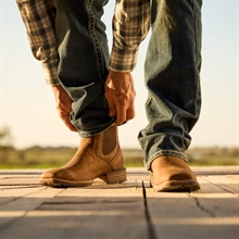 Ariat Hybrid Low Boy model męski