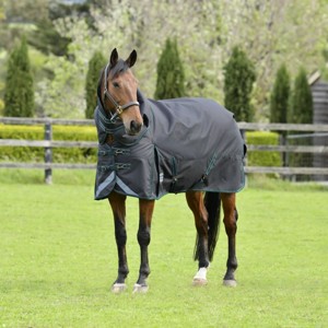 Weatherbeeta Derki zimowe 220 gram Comfitec Plus Dynamic II detach-a-neck medium