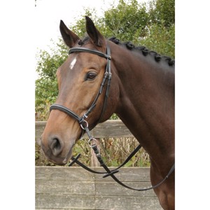 Harry's Horse Ogłowie bez wędzidła