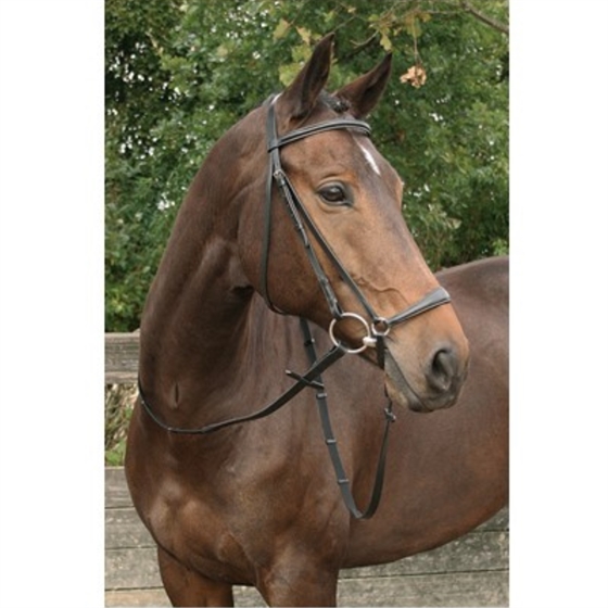 Harry\'s Horse Ogłowie z hanowerskim nachrapnikiem