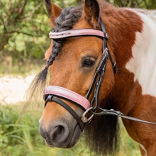 Harry's Horse Mini ogłowie Diva Mauvewood