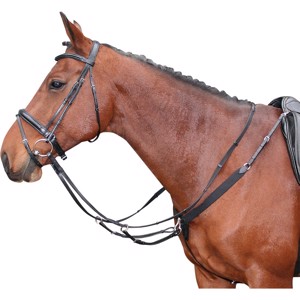 Harry's Horse napierśnik z elastyką i martingale