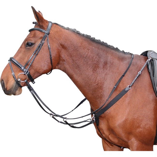 Harry\'s Horse napierśnik z elastyką i martingale