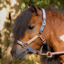 Harry's Horse Mini Kantar Diva Mauvewood