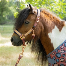 Harry's Horse Mini Kantar Diva Mauvewood