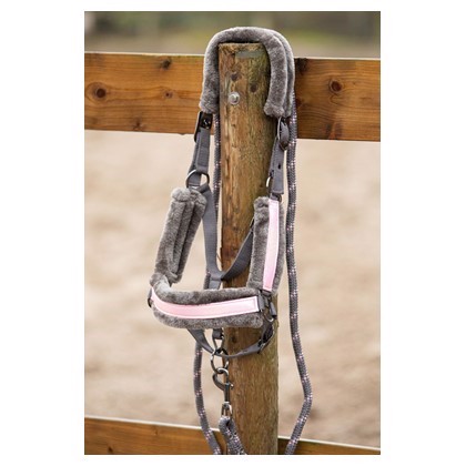 Harry\'s Horse Kantar z uwiązem Just Ride