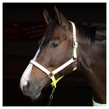Harry's Horse Reflex kantar
