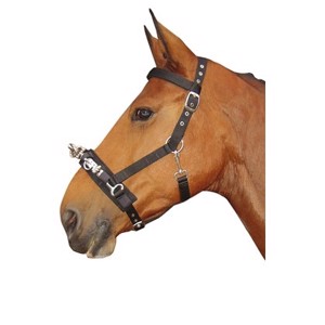 Harry's Horse kaptur treningowy