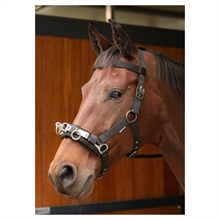 Harry's Horse kaptur treningowy
