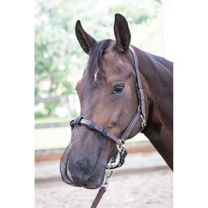 Harry's Horse siatka na nos