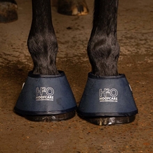 Harry's Horse dzwonki wodne