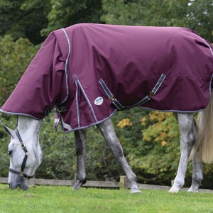 Weatherbeeta przejściowe derki dla konia 100 gram Comfitec Plus Dynamic II detach-a-neck medium/lite