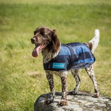 Back on Track Cool on Track Chłodząca Derka dla Psa 2.0