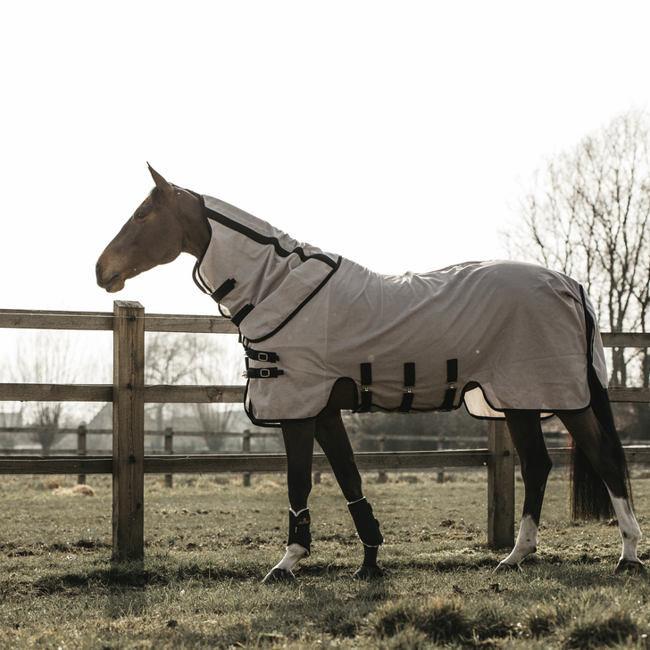 Kentucky Mesh Derki przeciw owadom beige