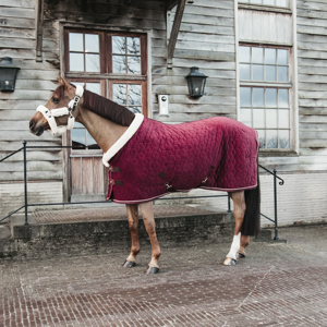 Kentucky Show Derki dla konia Velvet Bordeaux