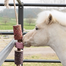 Kentucky Wooden Relax Horse Toy with Salt Lick