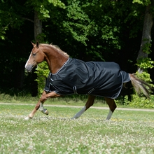 Bucas Trot Turnout 50 gram Derki dla konia dla koni kłusujących