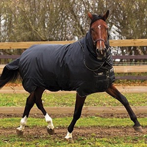 Horseware Trot Plus Derki zimowe 350 gram