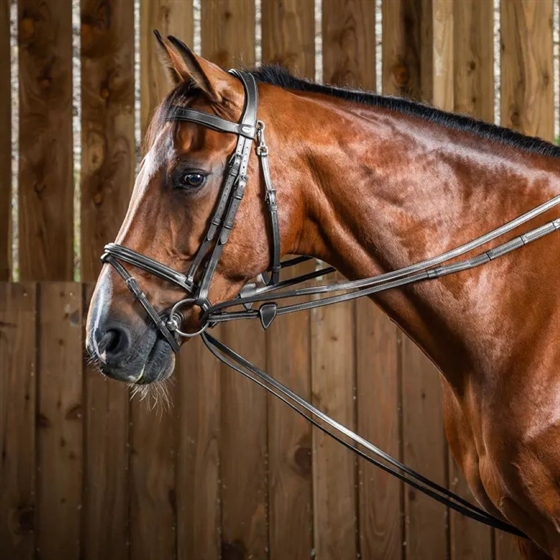 Dyon wodze ślizgowe Hunter Working by Dy\'on
