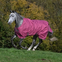 Freedom Derki przejściowe 150 gram