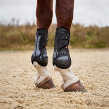 Stübben Hybrid Carbon Spring Gamache