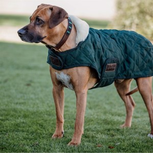 Kentucky derka dla psa Dark Green