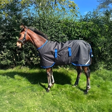 Horseware Amigo derki dla konia 900D 200 gram