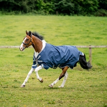 Navy/Titanium Grey & Silver