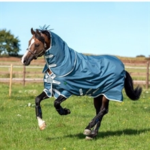 Horseware AmEco Bravo 12 Plus 100 gram derka przejściowa