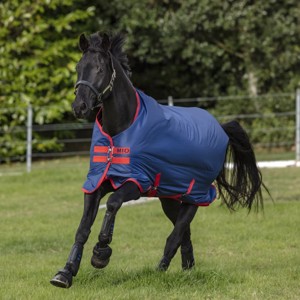 Horseware Mio medium derki dla konia przejściowe 200 gram