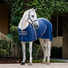 Rambo Stable sheet Derki dla konia