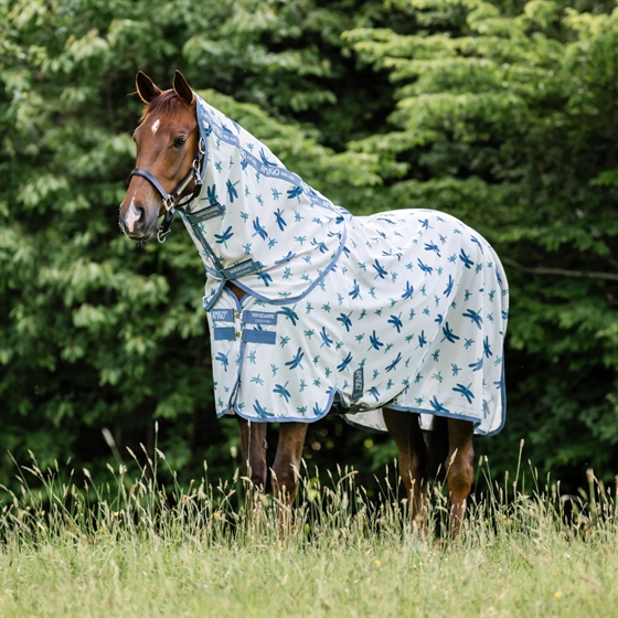 Dragonfly Print/Silver/Blue & Sage