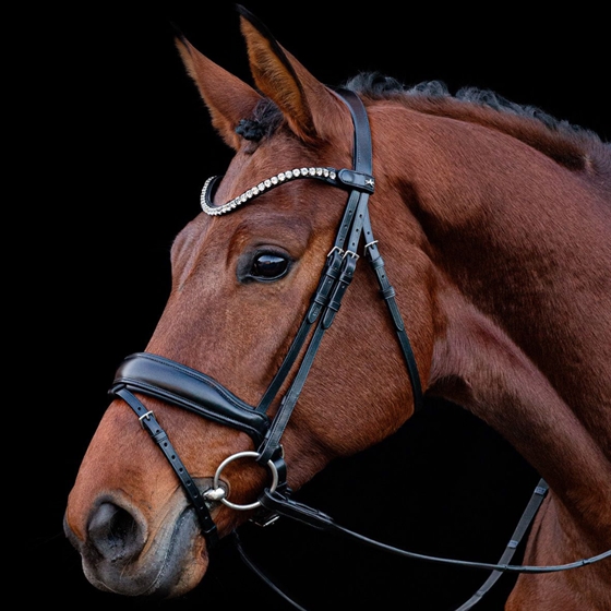 Ogłowie Schockemöhle SP Siena