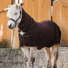 Cavallo CavaIsla derki dla konia z polaru