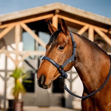 Horseware Amigo Zestaw kantara 
