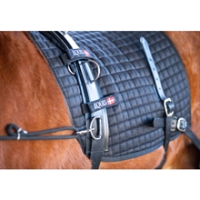 Eques Core Training Longesystem