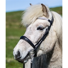 Eques Anatomiczny Angielski Nachrapnik