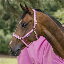 Aurora Pink