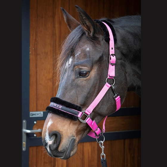 Harry\'s Horse kantar Lyrics Quotes