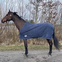 AB Jezdziecki Swed Sherpa fleece Derki dla konia