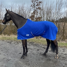 AB derki dla konia z polaru z pasami Royal Blue