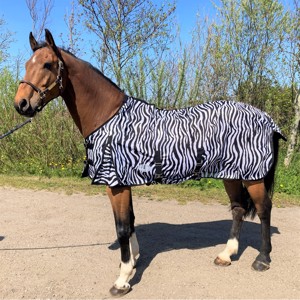 AB Derki przeciw owadom Zebra normalny kaptur