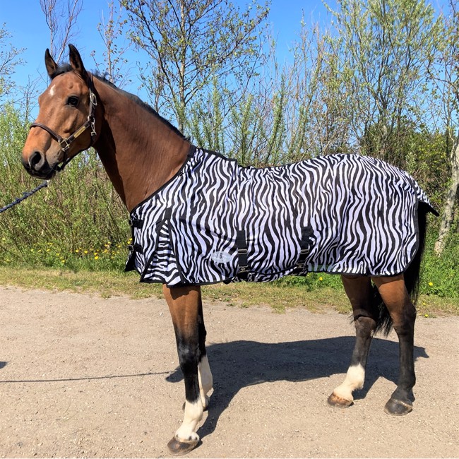 AB Derki przeciw owadom Zebra normalny kaptur