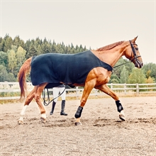 Kingsland Classic wełniane evolution walker Derki dla konia