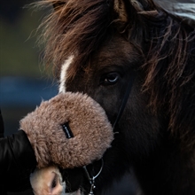 L'Evoine Alpaca Care rękawica